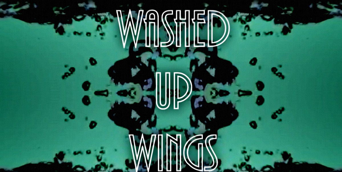 Washed Up Wings