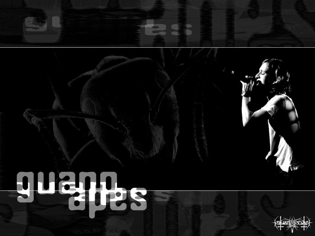 Guano Apes 4