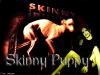 skinny puppy