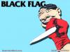 Black Flag 3
